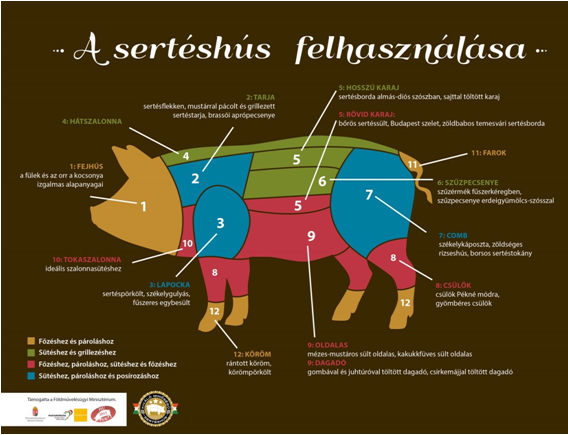 Cochinas traducciones