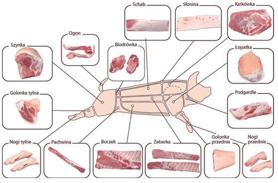 Cochinas traducciones