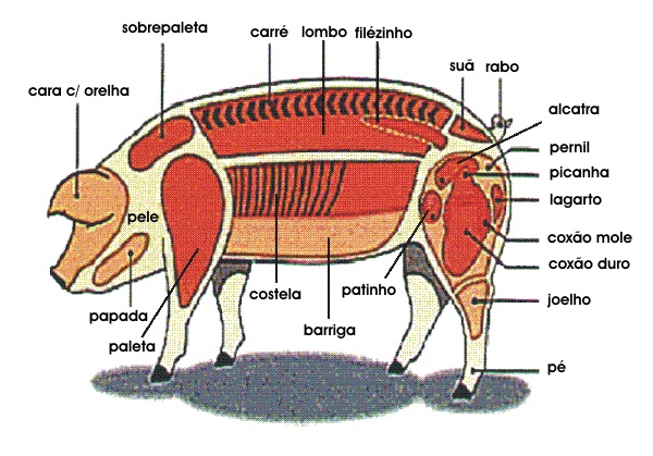 Cochinas traducciones