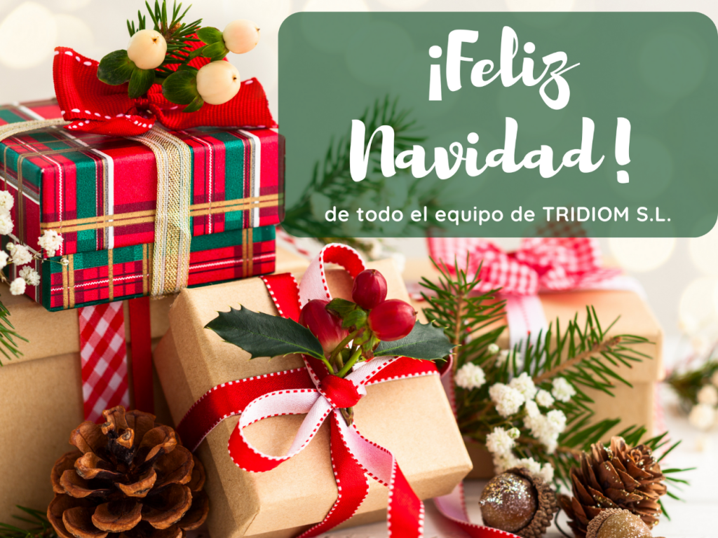 Expresiones Navidad